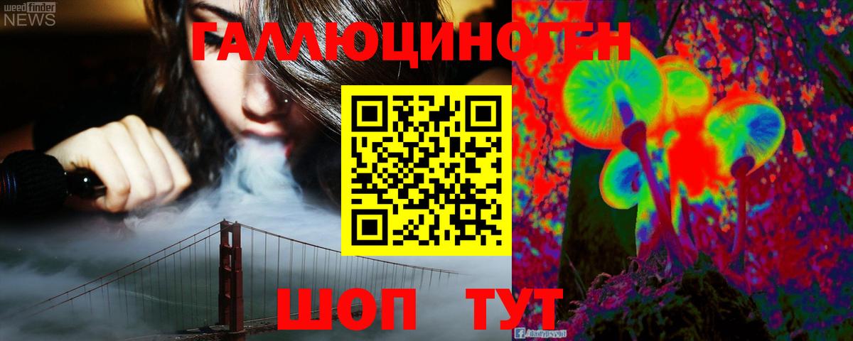 Псилоцибиновые грибы Cubensis Арсеньев