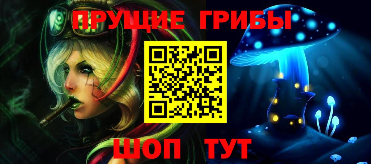 Арсеньев  Псилоцибиновые грибы Psilocybe  Вход с VPN 